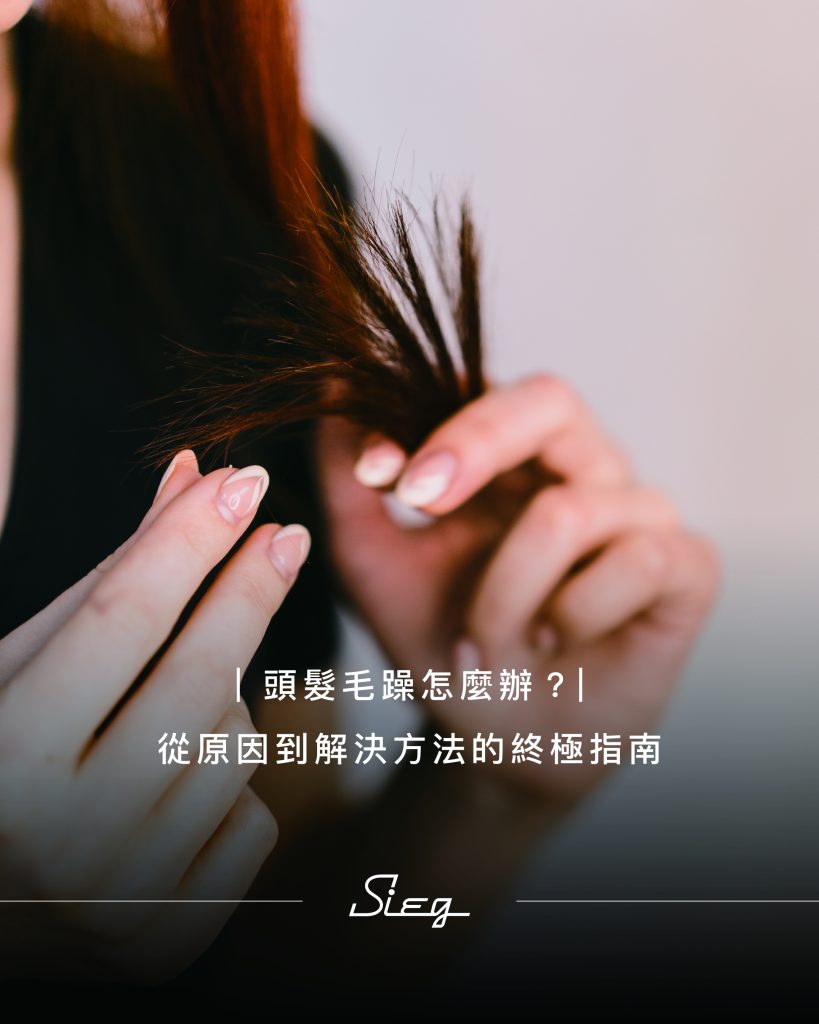 頭髮毛躁怎麼辦-首圖